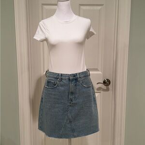 Everlane Light Blue Denim Mini Skirt